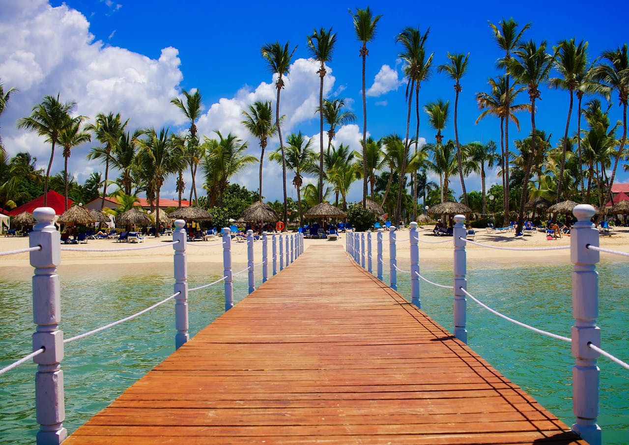 Home Wooden dock leading to a tropical beach resort with palm trees and clear blue waters.
